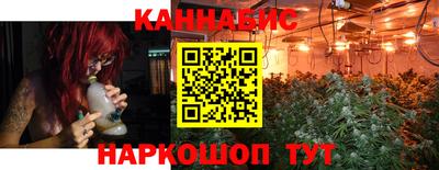 индика Ирбит
