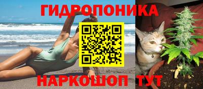 индика Ирбит