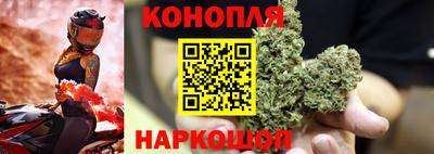 индика Ирбит