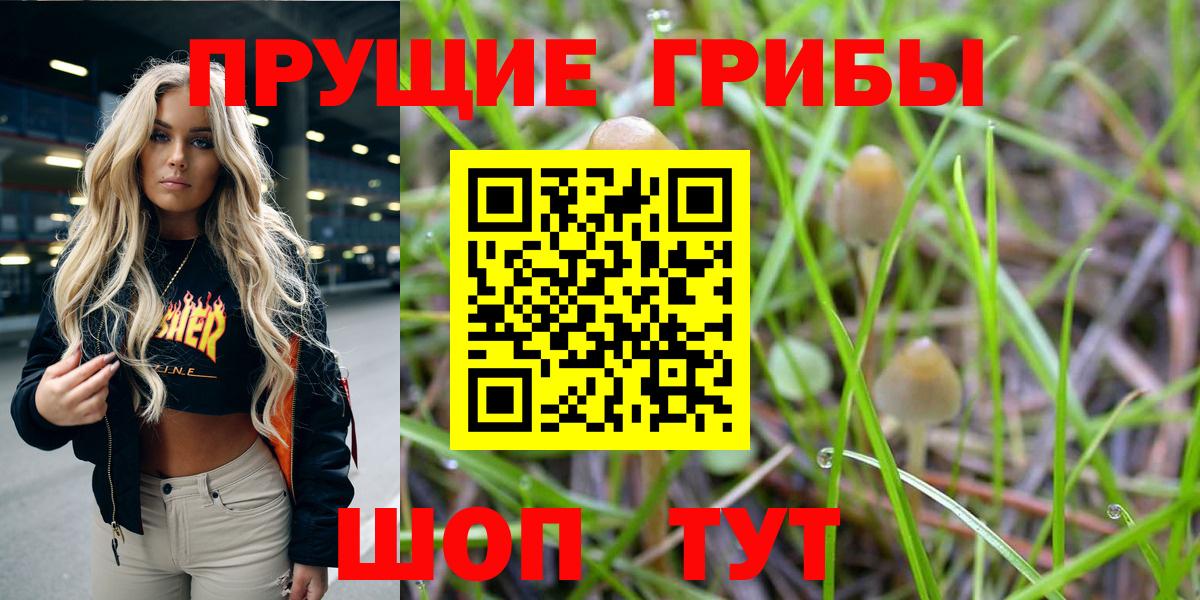 Галлюциногенные грибы MAGIC MUSHROOMS  где можно купить наркотик  Кашира  Вход с VPN 